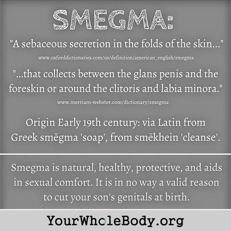 YWBSmegma.jpg